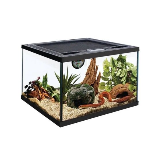 (image for) Reptile Terrarium, 30cm x 30cm x 20cm (Glass & Plastic)