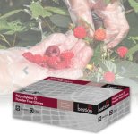 (image for) Gloves, Polyethylene, Clear, Embossed, Medium, Pack of 500