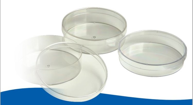 (image for) Dish Petri, 90x20mm, PS, Vented, Box of 200