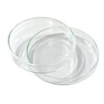 (image for) Dish Culture (Petri), Glass with Lid, 60mm diam x 15mm