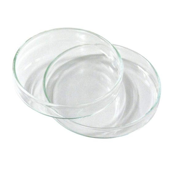 (image for) Dish Culture (Petri), Glass with Lid, 75mm diam x 15mm