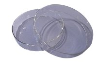 (image for) Dish Culture (Petri), Glass with Lid, 150mm diam x 30mm