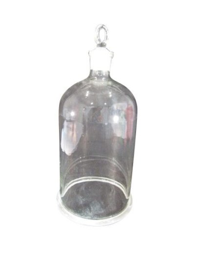 (image for) Bell Jar with Glass Stopper, 250 x 170mm