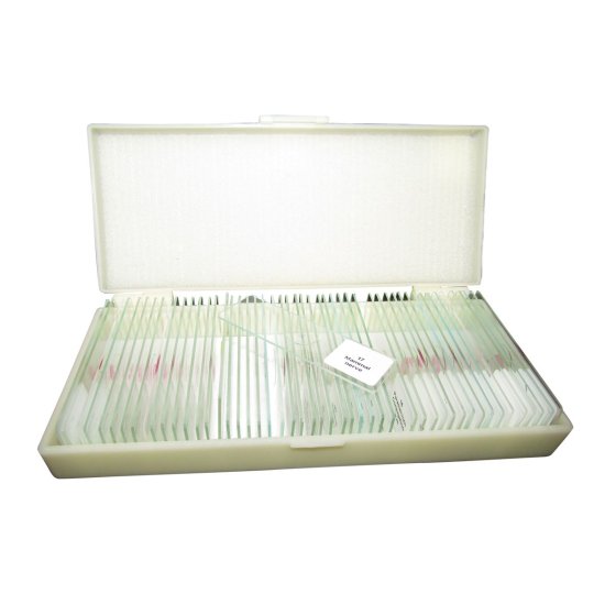 (image for) Slide Set, Microscope, Set of 50 - Zoology