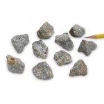 (image for) Limestone, Fossil (Archaeocyatha), Rock Teaching Samples, Pack of 10