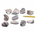 (image for) Phyllite, Rock, Teaching Samples, Pack of 10