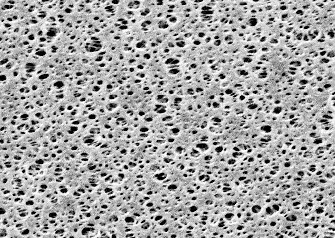 (image for) PES Membrane Filters, 0.45um, 25mm, Pack of 100