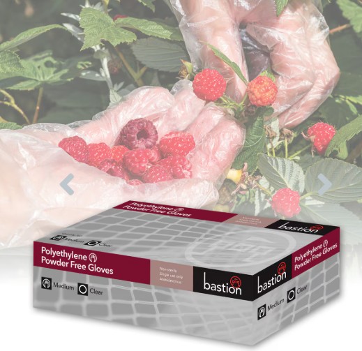 (image for) Gloves, Polyethylene, Clear, Embossed, Large, Pack of 500