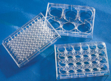 (image for) Corning® Costar® TC-Treated 6 Well Plates, Clear, PS, Flat Bottom, Sterile, Pack of 50
