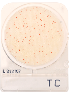 (image for) Compact Dry TC [Total Counts] 240 Tests