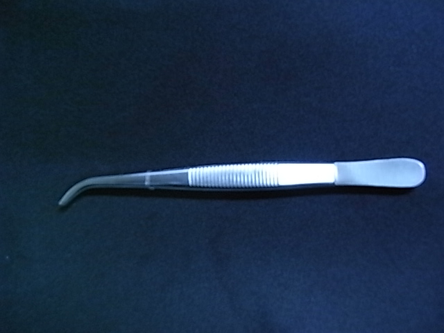 (image for) Forceps, Stainless Steel, Curved, Blunt Tip, 14cm